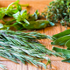 Illustration for article titled Herbs